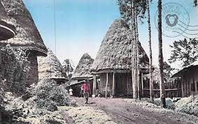 S.M. Monkam Toukam Paul Arnauld (2012- ~)